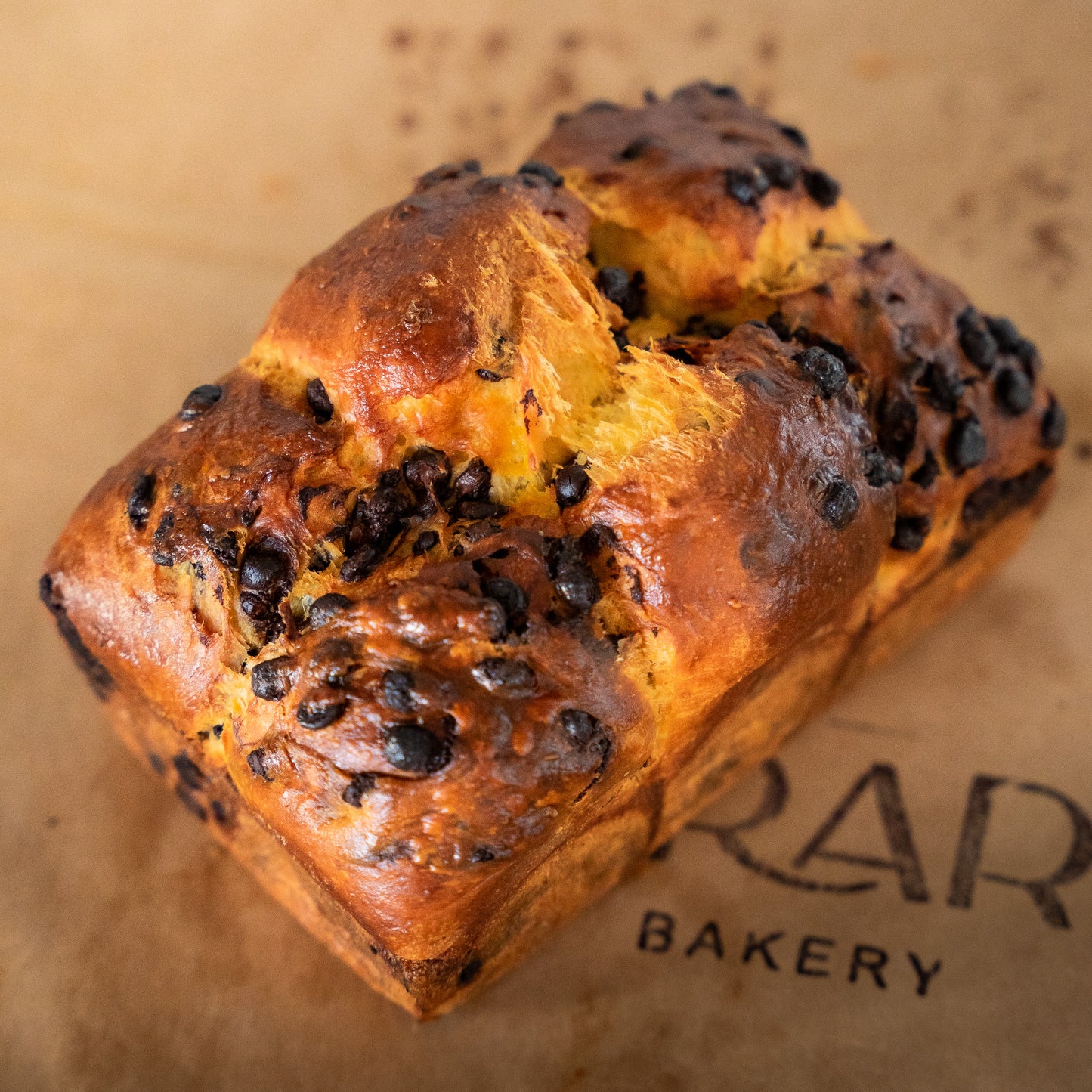 A Chocolate Brioche with lots of chocolate chips on top.