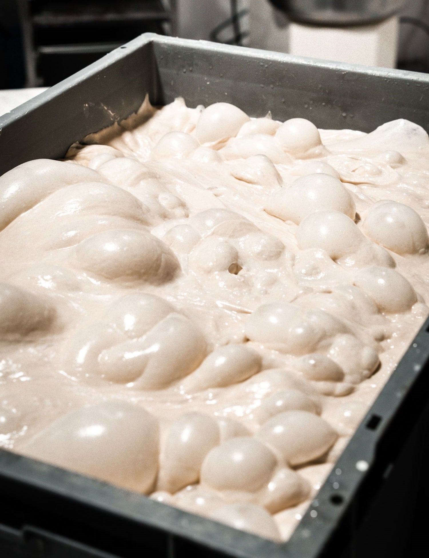 A large container filled with bubbly, freshly fermented sourdough starter in a bakery setting.