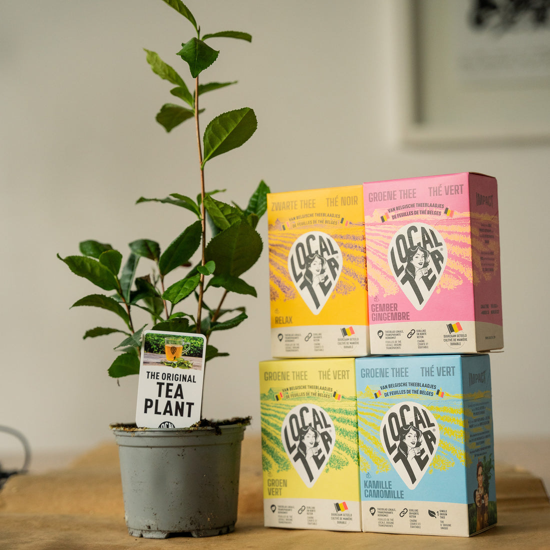 Embark on a Tea-Making Adventure: Crafting Your Own Tea at Home